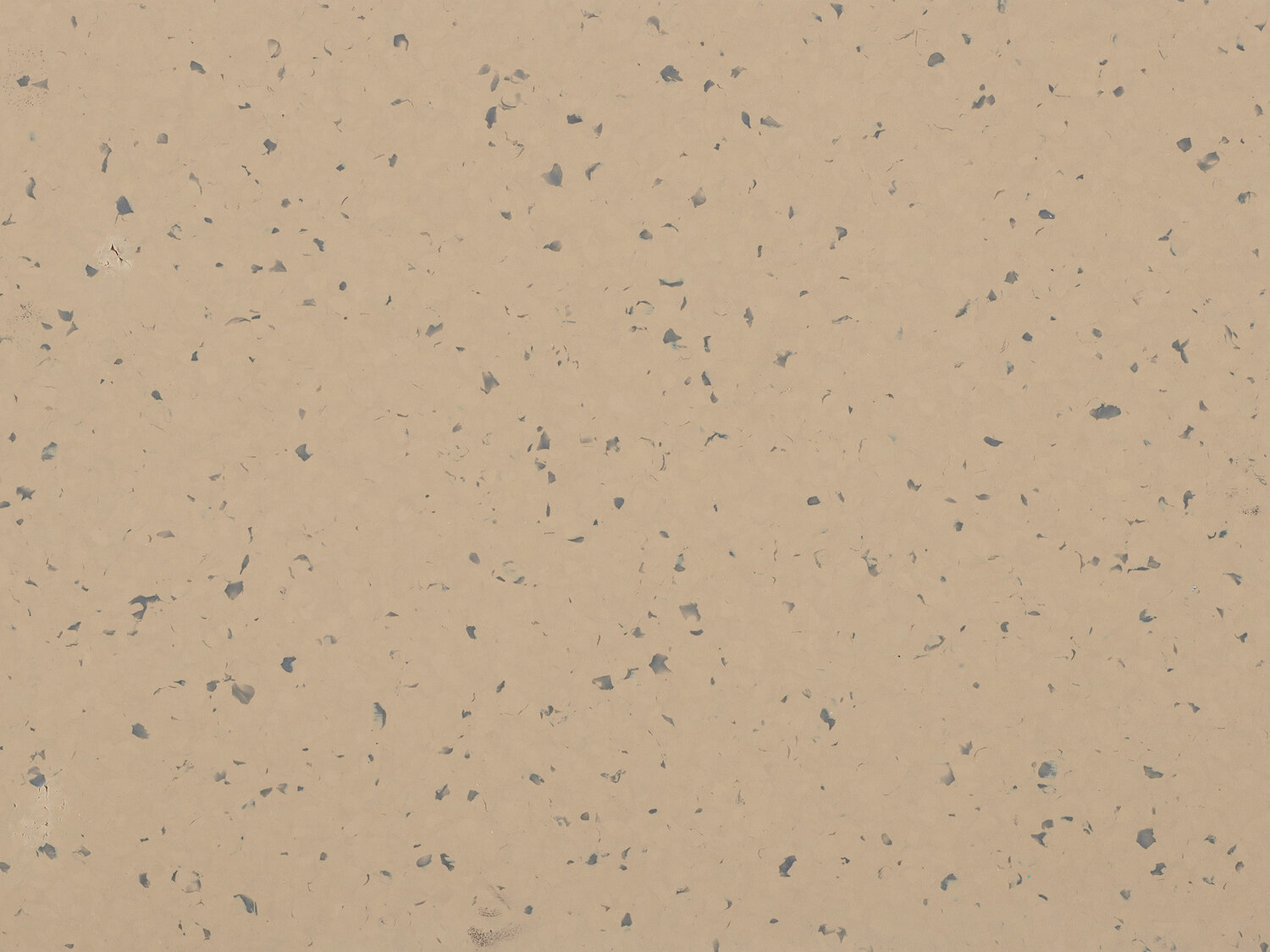 5428 SHEDDED GROUND