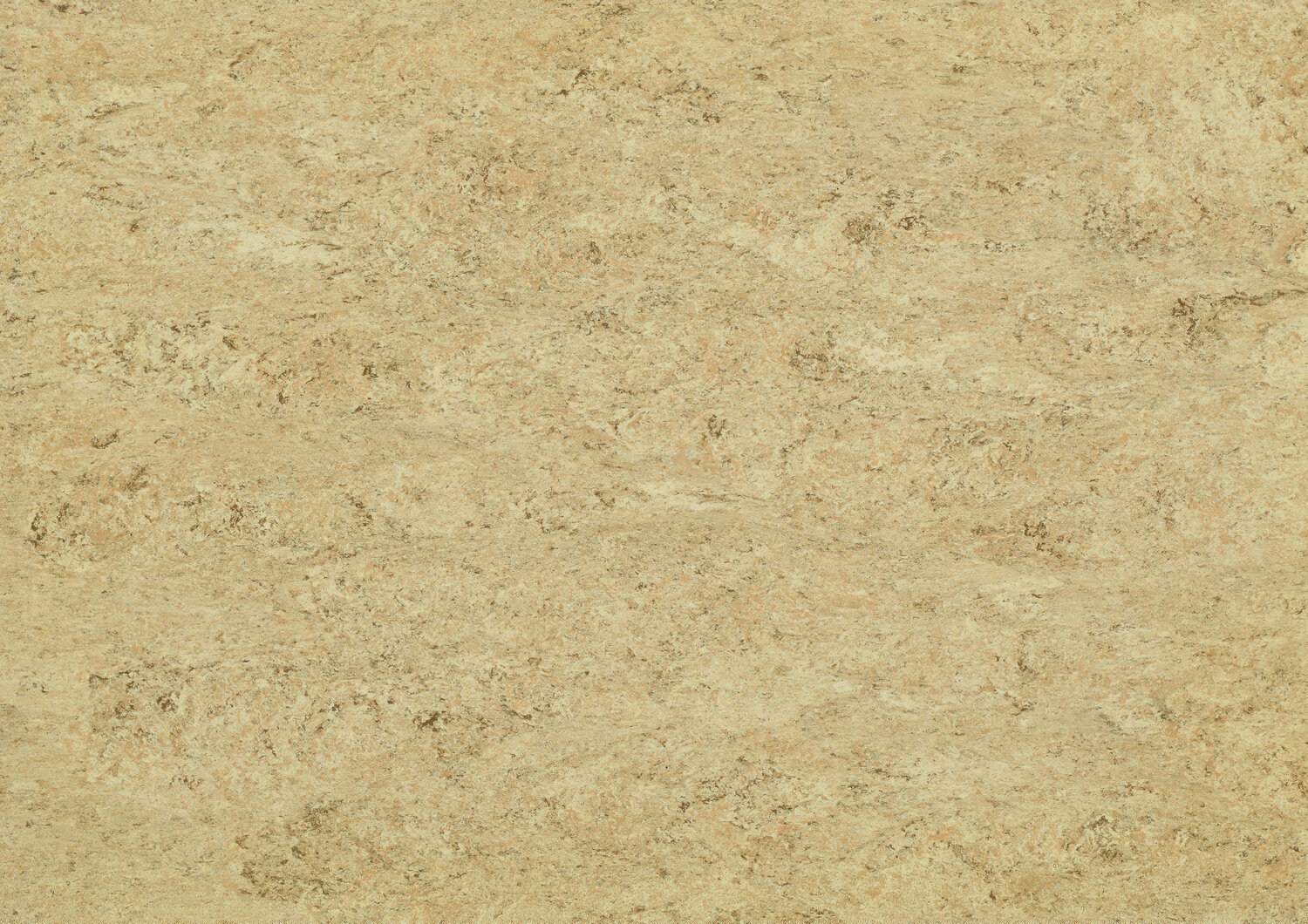 0070 ROCKY BROWN
