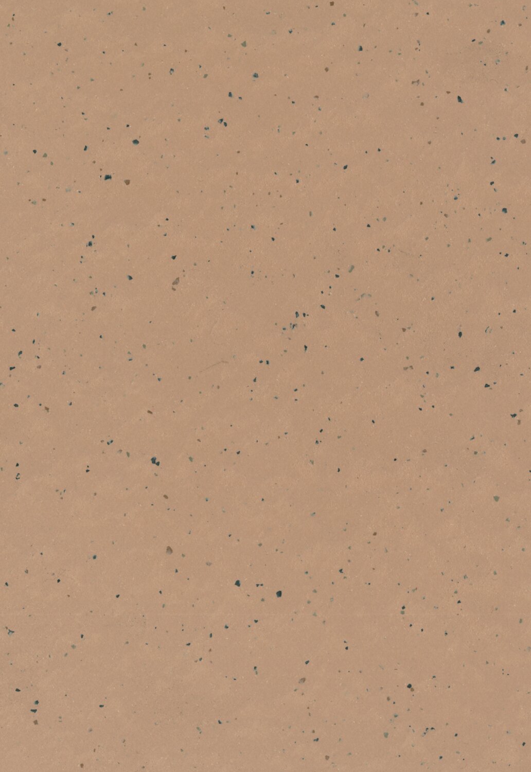 0233 Venus
